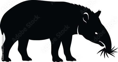 Elegant Vector Illustration of a Tapir Animal Silhouette