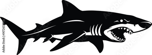 Fierce Vector Animal Great White Shark Illustration