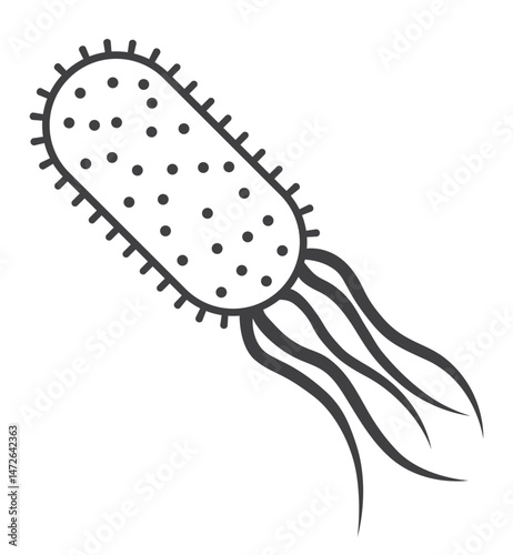 salmonella typhi bacteria icon