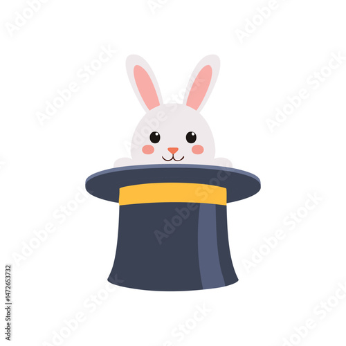 rabbit in a hat