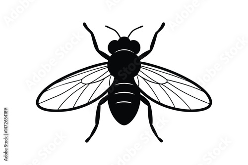 Silhouette art illustration of a housefly.eps