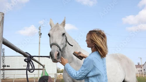 Female farmer cleaning her horse with brush. Horse grooming and animal health care concept. High quality 4k footage
