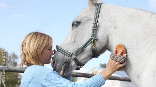 Female farmer cleaning her horse with brush. Horse grooming and animal health care concept. High quality 4k footage