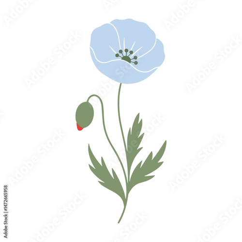 Minimalist blue poppy flower with bud and green leaves – flat botanical illustration for floral designs, invitations, greeting cards, digital art, herbarium themes, and nature decor
