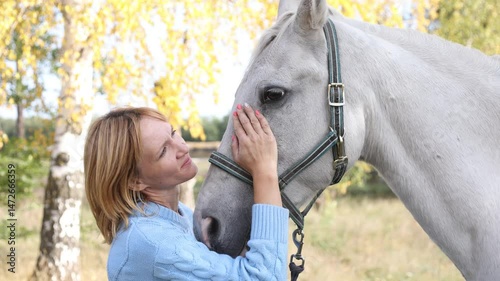 Female person stroking her white horse with love and care. High quality 4k footage