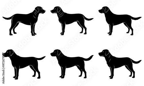 Labrador Silhouette vector