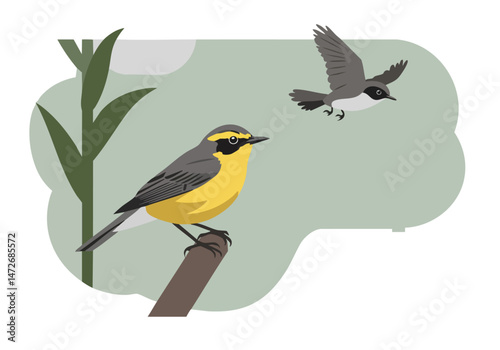 A Canada Warbler takes flight amidst tall grasses, showcasing its vibrant yellow plumage. A stylized illustration highlights migration challenges. Clean, modern design.