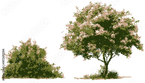 Watercolor Blooming Flower Tree Vector � Side View Green Tree for Landscape, Architecture, and Garden Section Design