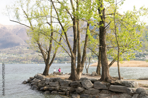 Fototapeta Naklejka Na Ścianę i Meble -  tree on the beach