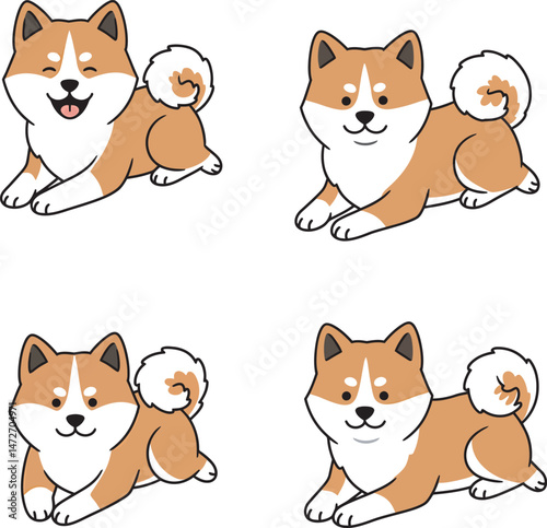 Akita Dog breed vector