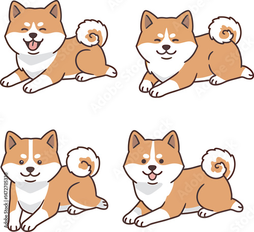 Akita Dog breed vector