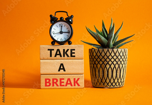 Take a break symbol. Concept words Take a break on wooden blocks. Beautiful orange background with succulent plant and alarm clock. Business and Take a break concept. Copy space.