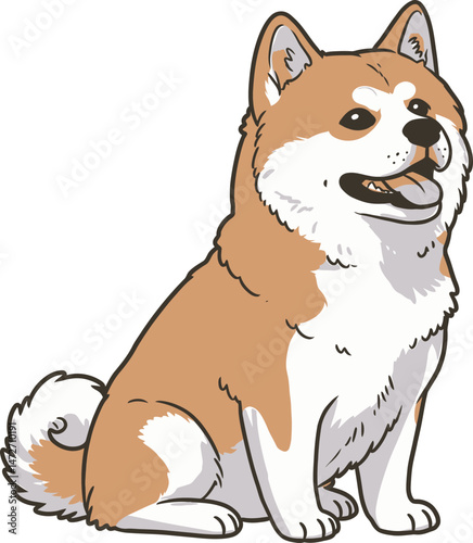 Akita Dog breed vector