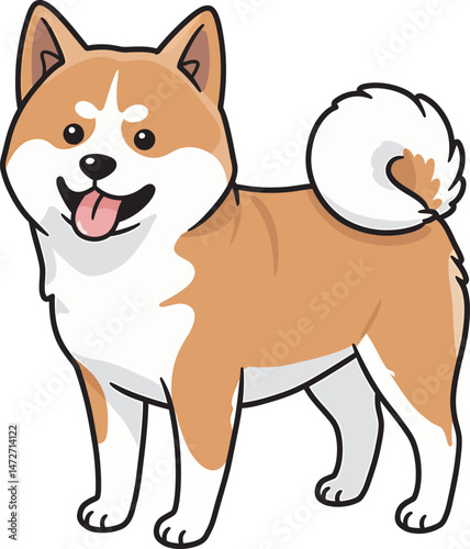 Akita Dog breed vector