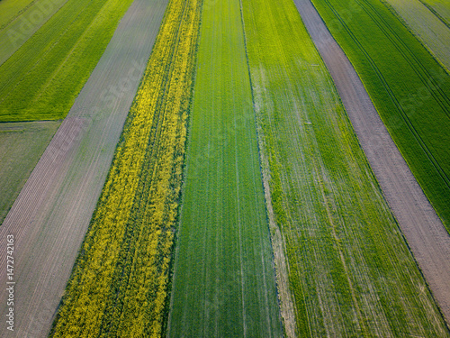 Geometric patterns in the fields in the countryside seen from above