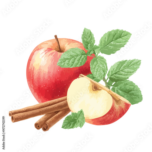Apple and cinnamon spice stick, illustration isolated