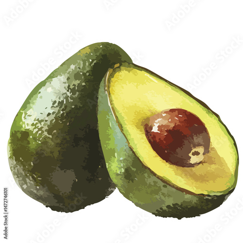 Avocado cut half isolated on plain background