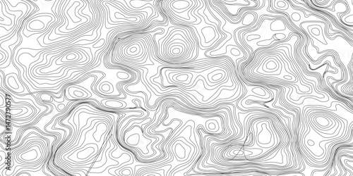 Design an artwork or concept that uses only black topographic contour lines to represent a landscape, emotion, or abstract idea. Let the absence of color heighten the focus on form, elevation, 