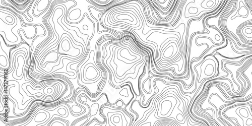 Design an artwork or concept that uses only black topographic contour lines to represent a landscape, emotion, or abstract idea. Let the absence of color heighten the focus on form, elevation, 