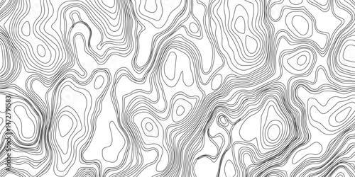 Design an artwork or concept that uses only black topographic contour lines to represent a landscape, emotion, or abstract idea. Let the absence of color heighten the focus on form, elevation, 