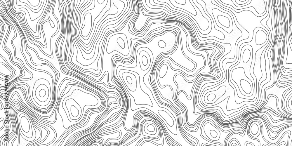 Design an artwork or concept that uses only black topographic contour lines to represent a landscape, emotion, or abstract idea. Let the absence of color heighten the focus on form, elevation, Design an artwork or concept that uses only black topographic contour lines to represent a landscape, emotion, or abstract idea. Let the absence of color heighten the focus on form, elevation,