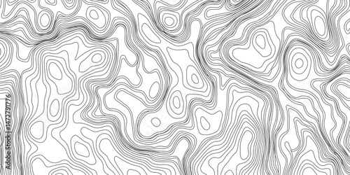 Design an artwork or concept that uses only black topographic contour lines to represent a landscape, emotion, or abstract idea. Let the absence of color heighten the focus on form, elevation, 