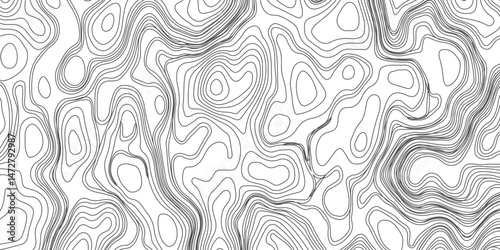 Design an artwork or concept that uses only black topographic contour lines to represent a landscape, emotion, or abstract idea. Let the absence of color heighten the focus on form, elevation, 