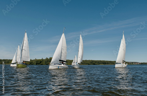 Fotografie group of sailboats with white sails gliding across a body of water under a clear blue sky