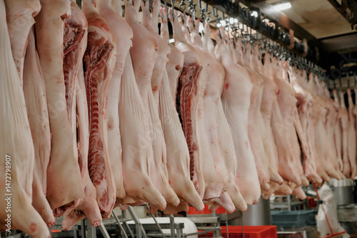 Photos A meat processing facility with numerous pig carcasses hanging on an overhead rail system