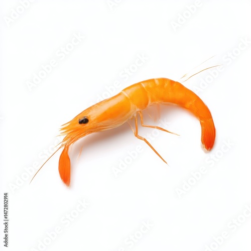 Wallpaper Mural Isolated orange shrimp with delicate antennae on a plain white surface studio shot close up view Torontodigital.ca