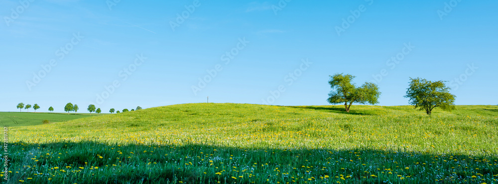 flowers and meadows in rolling hills of luxemburg countryside