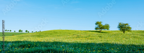 Obraz na płótnie flowers and meadows in rolling hills of luxemburg countryside w salonie