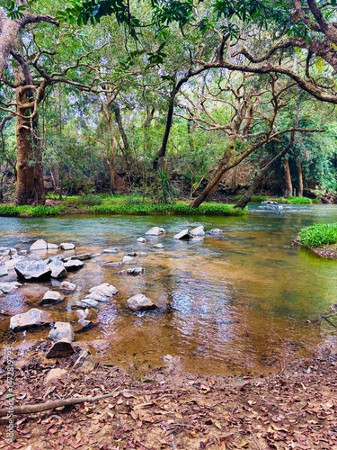 A serene river winds through a lush green forest, reflecting trees and sunlight on its clear water. The peaceful flow, surrounded by dense vegetation, creates a refreshing natural escape. nature photo