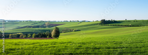 Obraz na płótnie flowers and meadows in rolling hills of luxemburg countryside w salonie