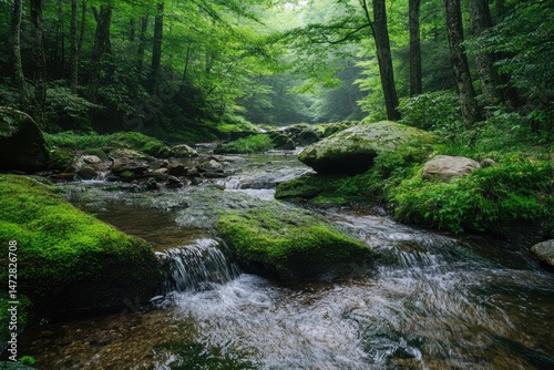 Misty forest stream. Lush greenery, flowing water over rocks