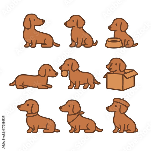 Miniature dachshunds playing and resting in various poses  