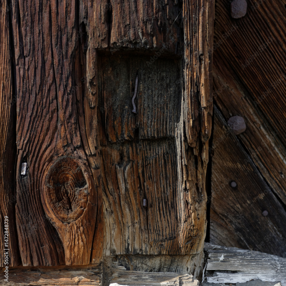 Obraz premium drewno