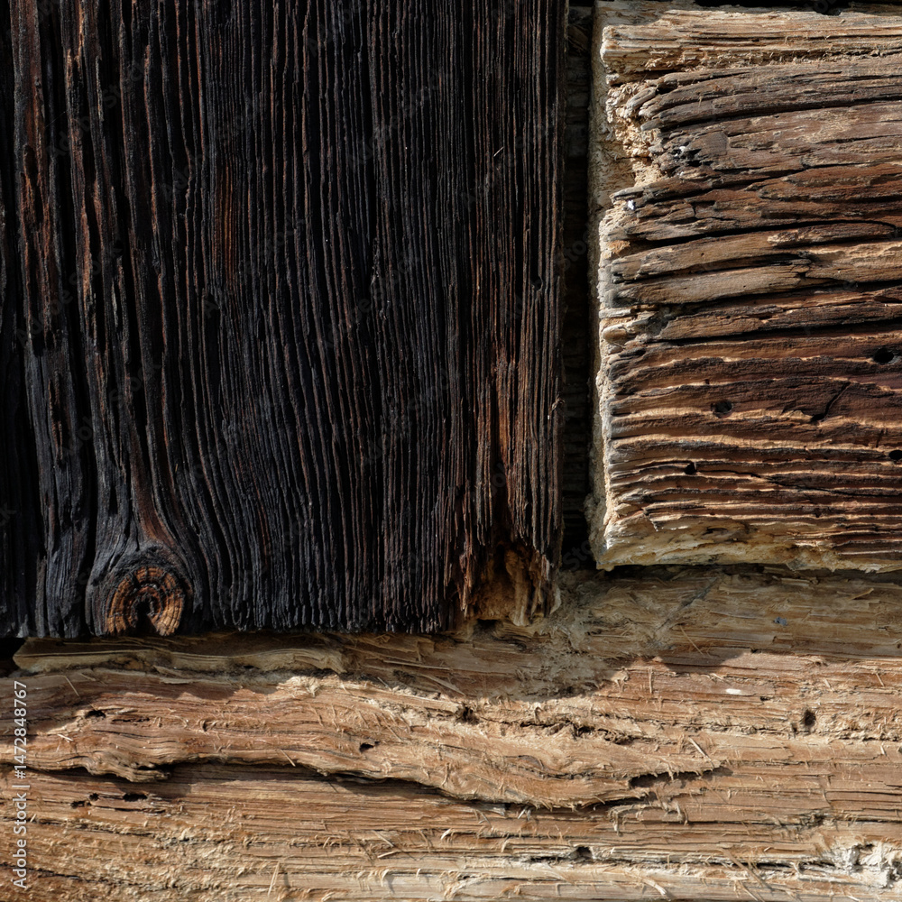 Fototapeta premium drewno