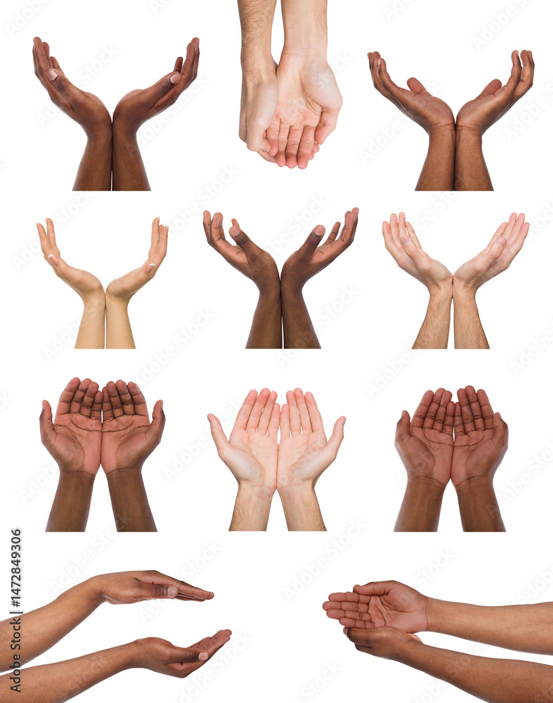 Black and white hands holding or offering something, isolated on white background. Open palms of multiethnic men, handful gesture. Set of hands. Black and white hands holding or offering something, isolated on white background. Open palms of multiethnic men, handful gesture. Set of hands.