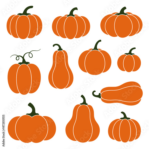 Various orange pumpkins in different shapes and sizes on white background  