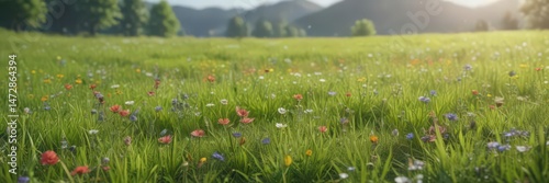 Vibrant green meadow, wildflowers in bloom, soft focus , growth, life, landscape