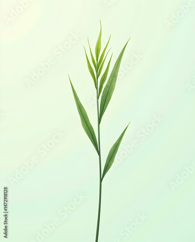 Simple Grass Blade