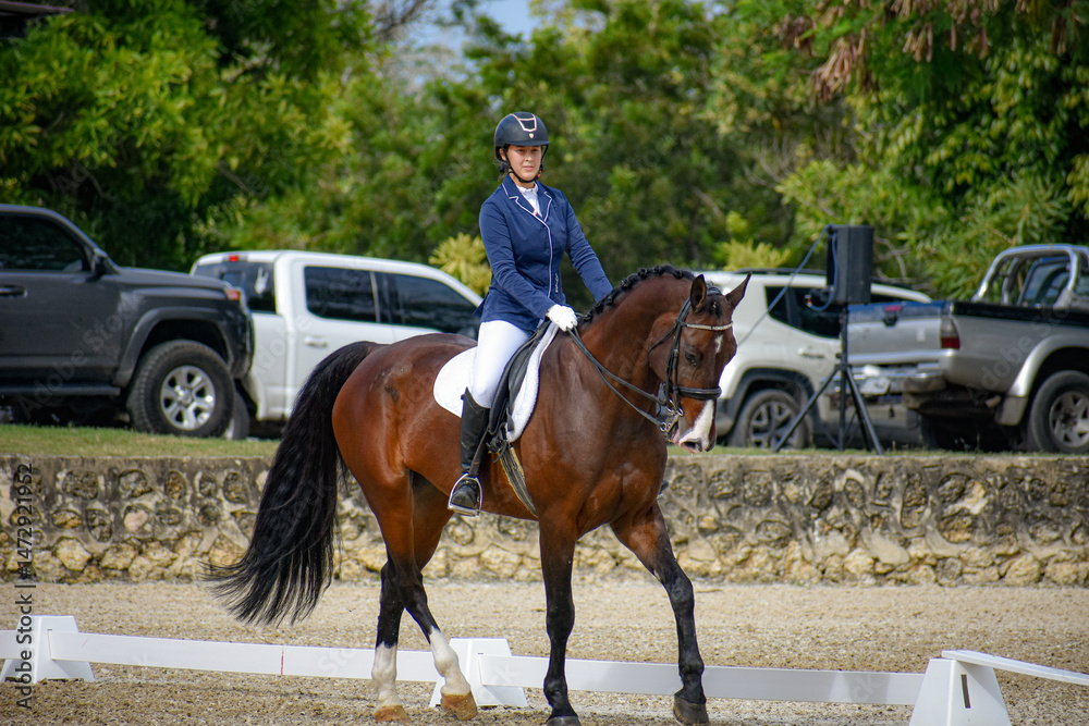 Female Rider and Bay Gelding in Dressage Performance Female Rider and Bay Gelding in Dressage Performance