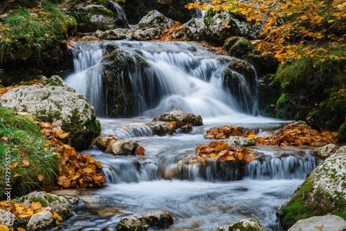 Autumn Stream Falls Over Rocks