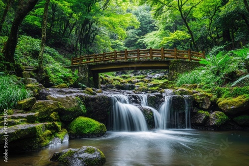 Lush forest stream cascading over rocks (3)