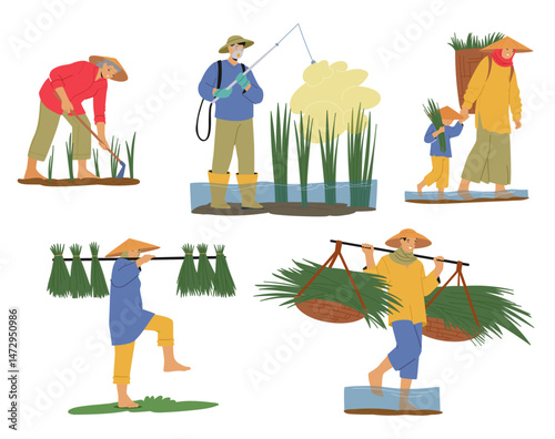 Asian farmers cartoon character working on rice plantation cultivating natural food product