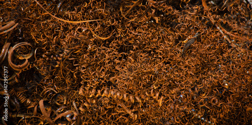 Rusty Metal Shavings: Macro detail of industrial waste. Sharpened texture of iron scrap. Ideal for abstract or grunge backgrounds.