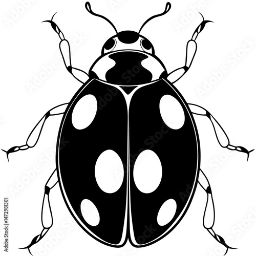 Ladybug Sketch: a close-up monochrome illustration of a ladybug. The elegant ladybug with its iconic spotted wings, a symbol of good fortune and natural beauty. 