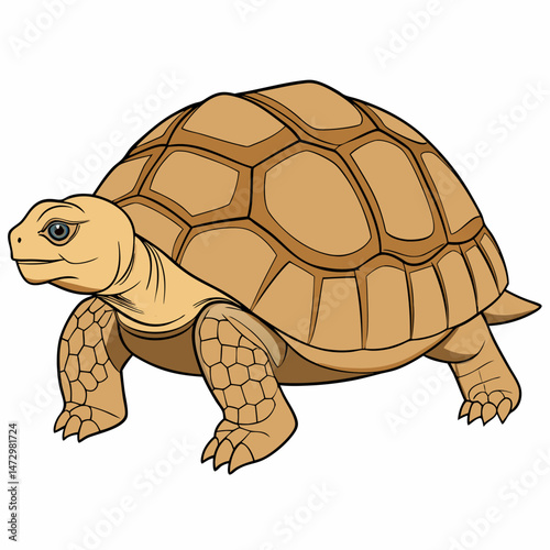 The Ancient Wanderer: A photorealistic image of a tortoise showcasing its unique features and intricate shell patterns, symbolizing longevity and resilience.