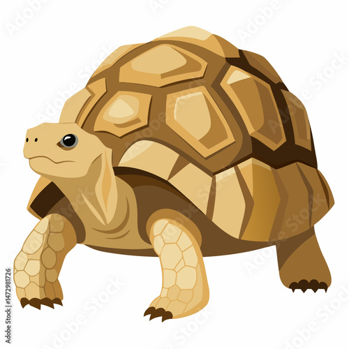 Giant Tortoise Silhouette: A majestic giant tortoise showcases a distinctive armored shell, a symbol of longevity and resilience, rendered in a clean, isolated aesthetic.